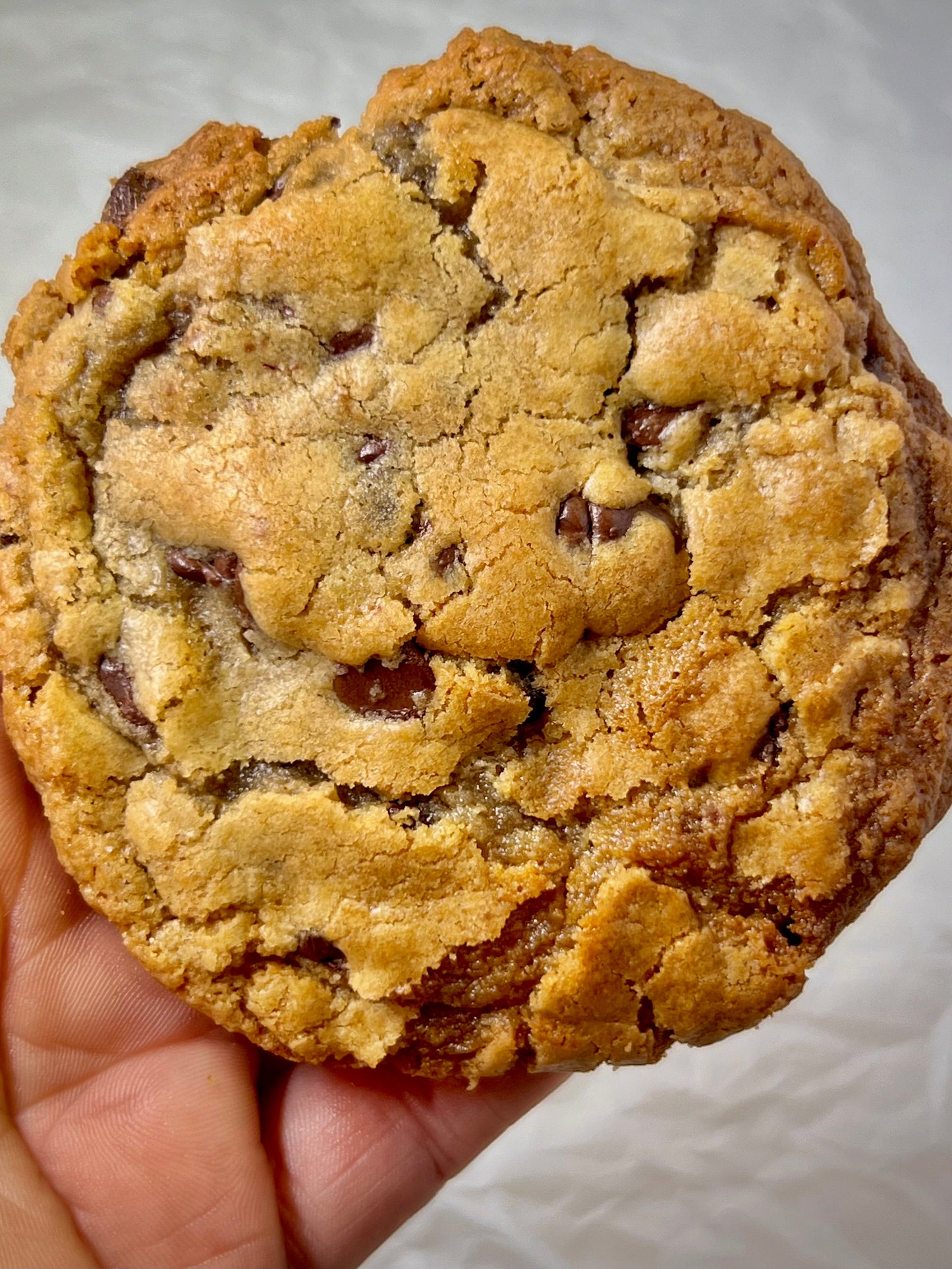 Chocolate Chip Cookies