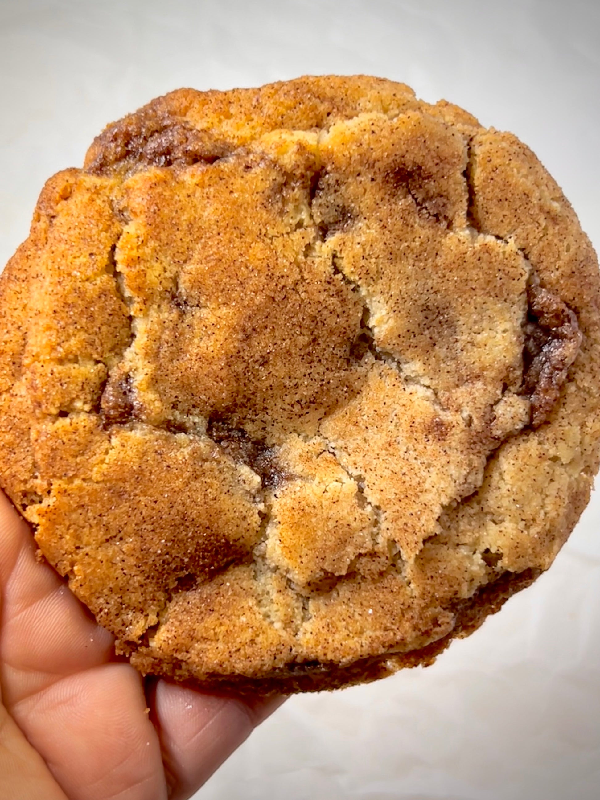 Gluten Free Snickerdoodle Cookie